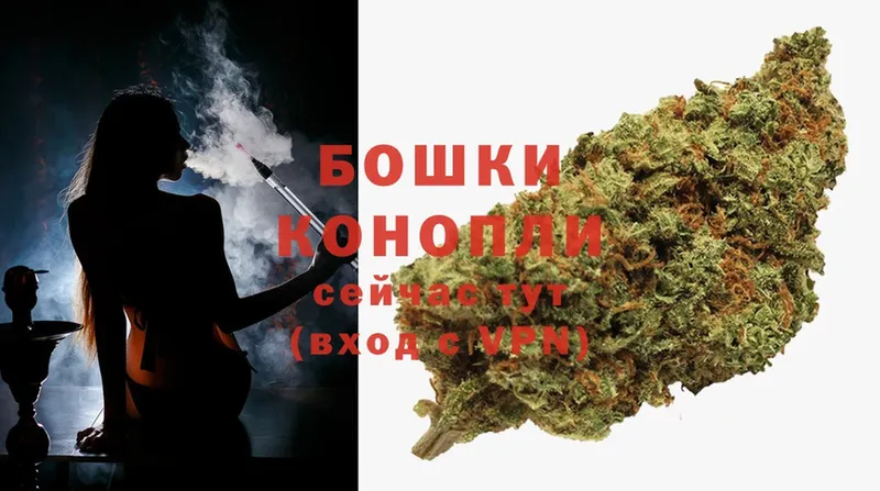 Бошки марихуана THC 21%  гидра ТОР  Югорск  продажа наркотиков 